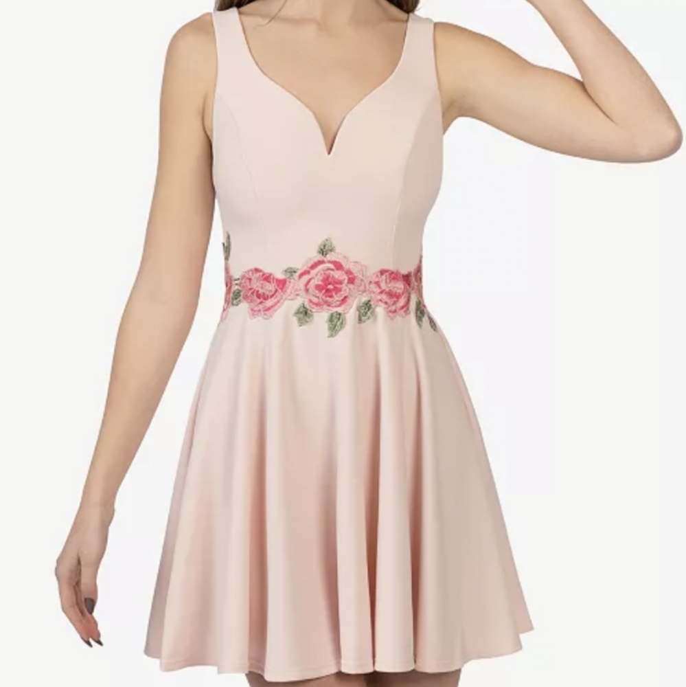 Pink and Rose Skater Homecoming/Party Dress